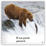 El oso pardo from Zoozoo Mundo Animal
