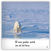 El oso polar from Zoozoo Mundo Animal