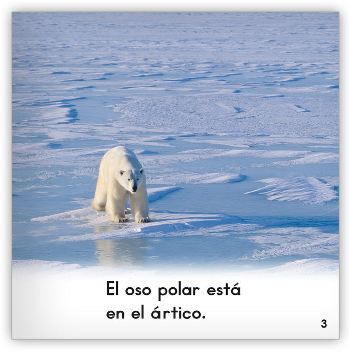 El oso polar from Zoozoo Mundo Animal