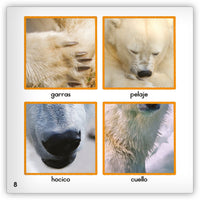 El oso polar from Zoozoo Mundo Animal