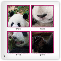 El panda gigante from Zoozoo Mundo Animal