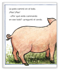 El paseo lodoso from Clásicos de Joy Cowley