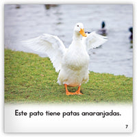 El pato