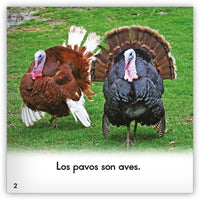 El pavo from Zoozoo Mundo Animal