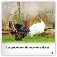 El pavo from Zoozoo Mundo Animal