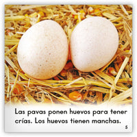 El pavo from Zoozoo Mundo Animal