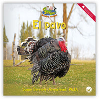 El pavo from Zoozoo Mundo Animal