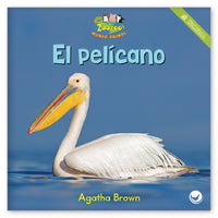 El pelícano from Zoozoo Mundo Animal