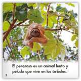 El perezoso from Zoozoo Mundo Animal