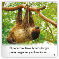 El perezoso from Zoozoo Mundo Animal