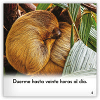 El perezoso from Zoozoo Mundo Animal