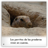 El perrito de las praderas from Zoozoo Mundo Animal