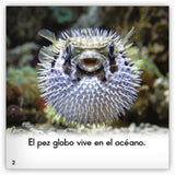 El pez globo from Zoozoo Mundo Animal