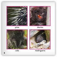 El puercoespín from Zoozoo Mundo Animal