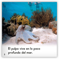 El pulpo Leveled Book
