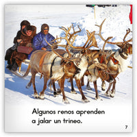 El reno from Zoozoo Mundo Animal