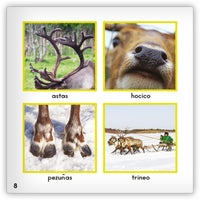 El reno from Zoozoo Mundo Animal