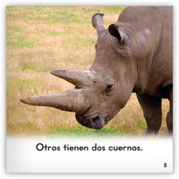 El rinoceronte from Zoozoo Mundo Animal