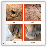 El rinoceronte from Zoozoo Mundo Animal