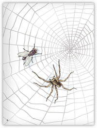 El sándwich de araña