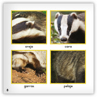 El tejón from Zoozoo Mundo Animal