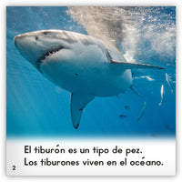 El tiburón from Zoozoo Mundo Animal