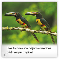 El tucán from Zoozoo Mundo Animal