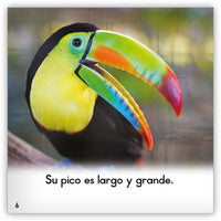 El tucán from Zoozoo Mundo Animal