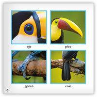 El tucán from Zoozoo Mundo Animal