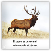 El uapití from Zoozoo Mundo Animal