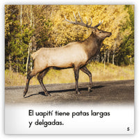 El uapití from Zoozoo Mundo Animal