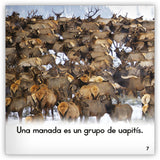 El uapití from Zoozoo Mundo Animal