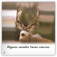 El venado Leveled Book