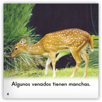 El venado from Zoozoo Mundo Animal