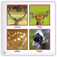 El venado Leveled Book