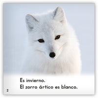 El zorro ártico from Zoozoo Mundo Animal