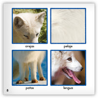 El zorro ártico from Zoozoo Mundo Animal