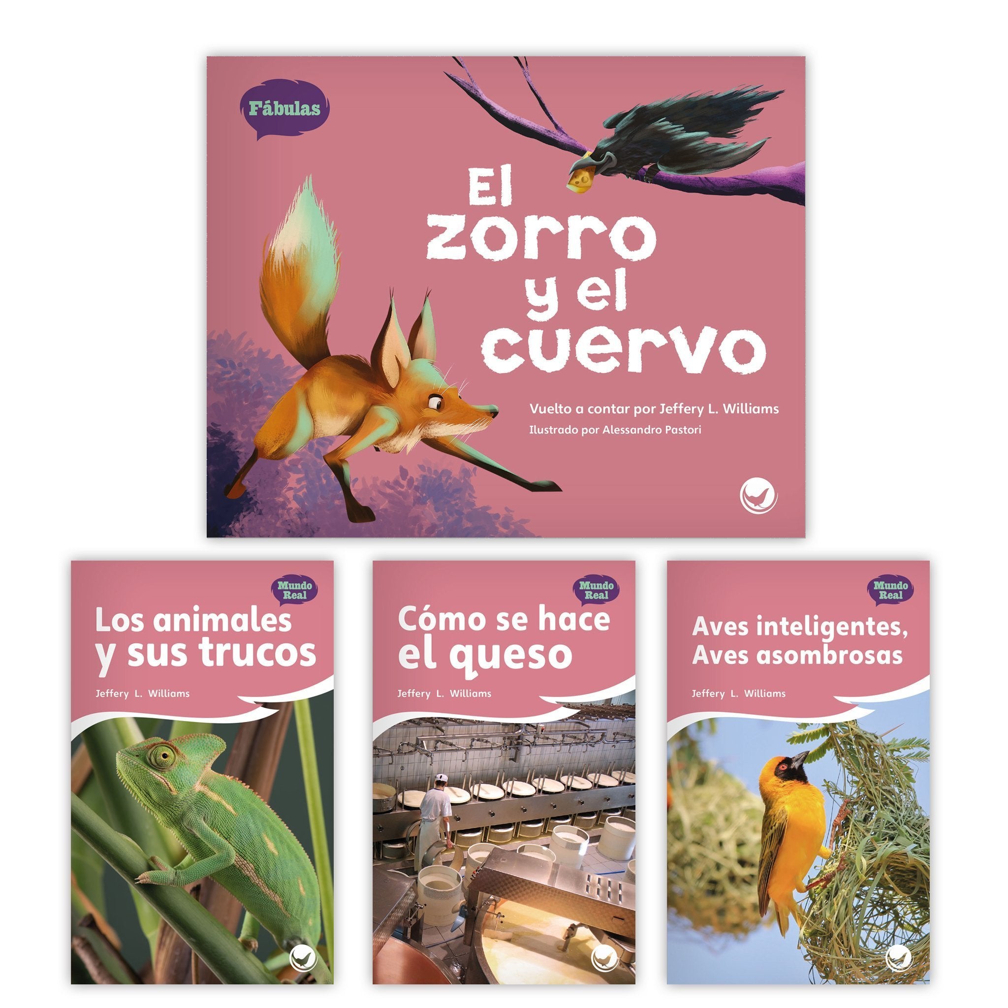 El Zorro Y El Cuervo Theme Set Image Book Set