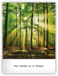 En el bosque Big Book
