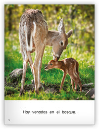 En el bosque Big Book