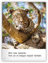 En el bosque tropical Big Book