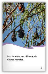 ¿Es pájaro o murciélago? from Fábulas y el Mundo Real