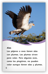 ¿Es pájaro o murciélago? from Fábulas y el Mundo Real