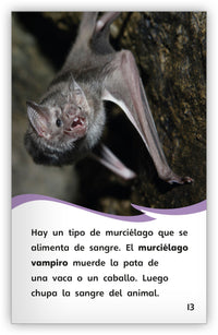 ¿Es pájaro o murciélago? from Fábulas y el Mundo Real