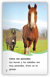 ¿Es un burro o un caballo? from Fábulas y el Mundo Real