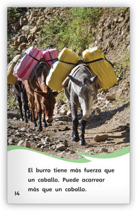 ¿Es un burro o un caballo? Leveled Book