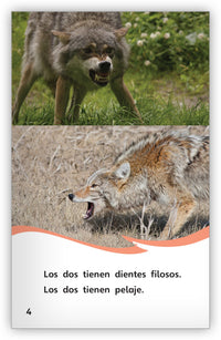 ¿Es un lobo o un coyote? from Fábulas y el Mundo Real