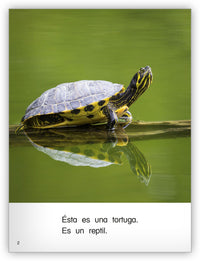 Es un reptil Leveled Book