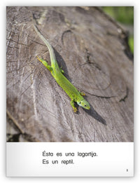 Es un reptil Leveled Book