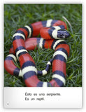 Es un reptil from Colección Caleidoscopio